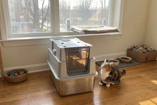 Best Sustainable Litter Box Materials for Odor Control