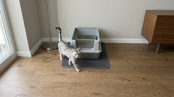 Furrbby XXL  stainless steel litter box featuring excellent odor‑proof and easy‑clean design