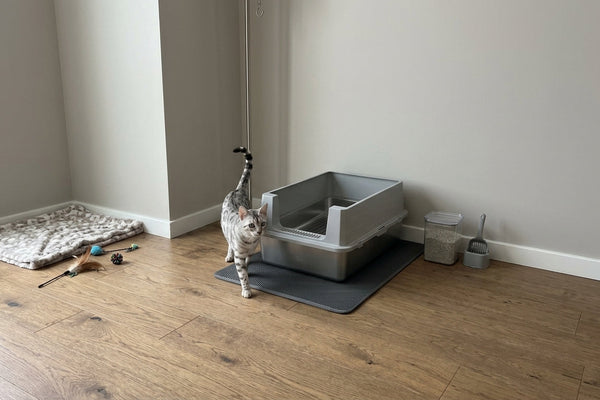 Care for Stainless Steel Litter Boxes Avoid Stains and Smudges