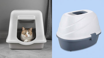 Front-Entry vs Top-Entry Litter Boxes: The Final Verdict