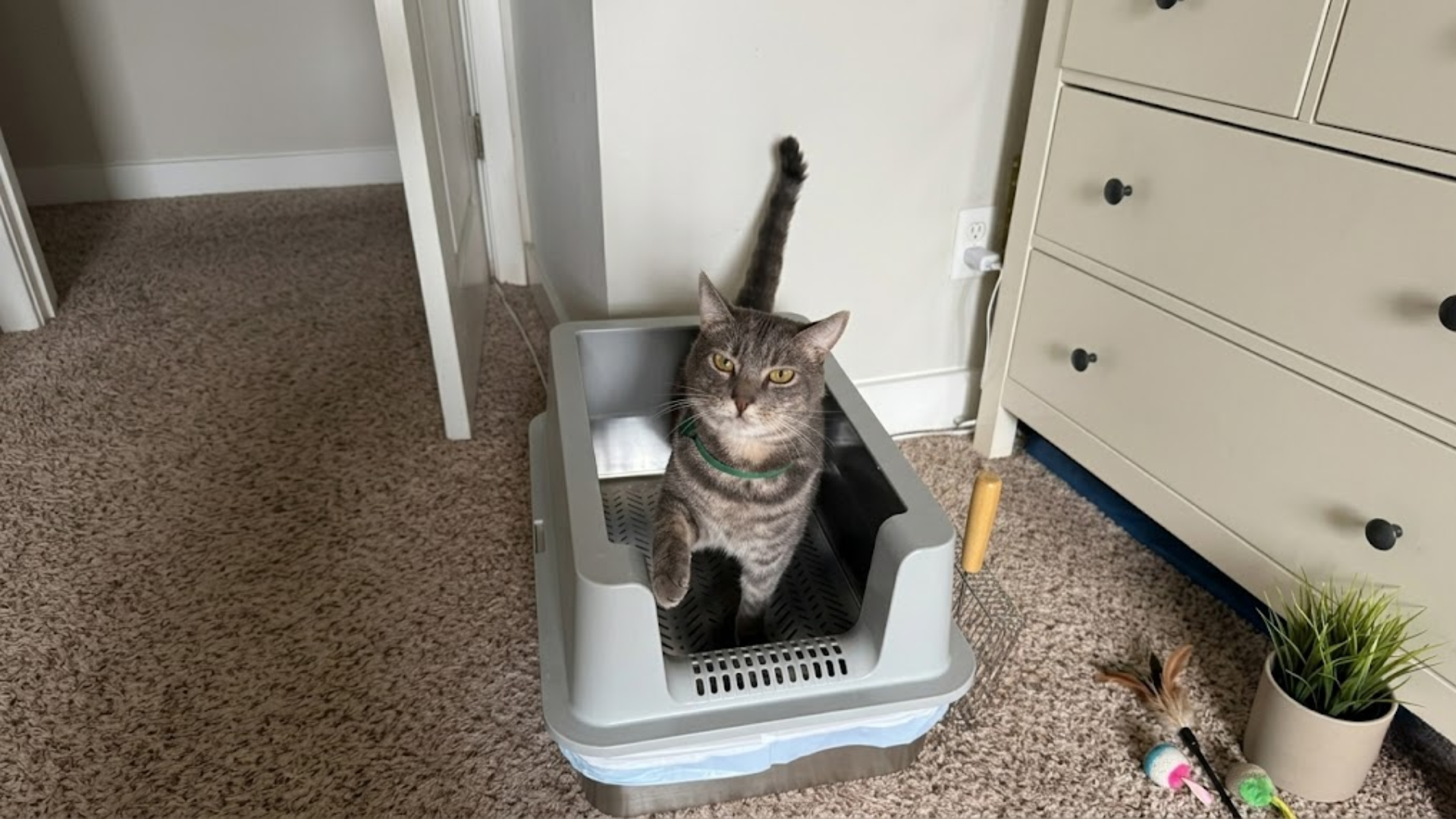 best hidden litter box for cats Unipaws Cat Litter Box Enclosure main image 1