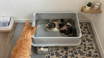Furrbby large capacity stainless steel litter box suitable for multi-cat household indoor use