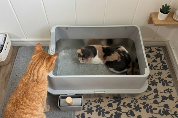 Is the Sifting Pan Too Heavy? Techniques for [Petite Owners]