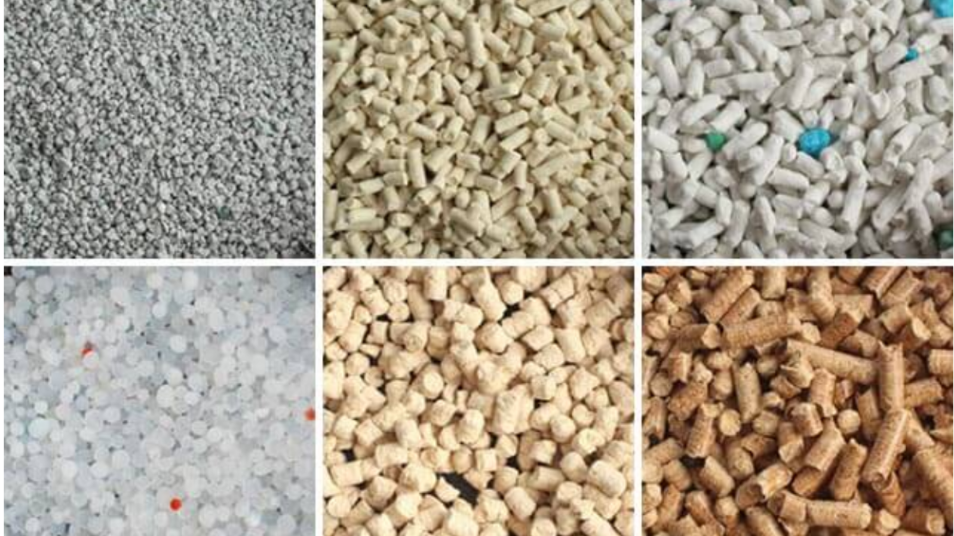 Best Budget-Friendly Cat Litter Options for Cost-Conscious Pet Owners