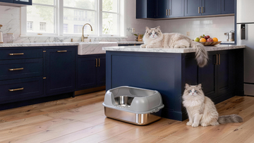 5 Benefits of Stainless Steel Litter Boxes for [Modern Home Decor]