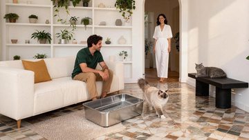 Apartment Living with Pine: Handling the "Woody" Scent