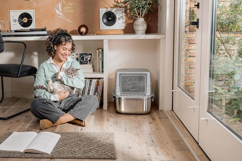 Apartment Living with a Giant: How to Hide an [XXL Litter Box]