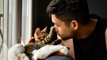 12-Month Cat Wellness Checklist for a Healthy Pet
