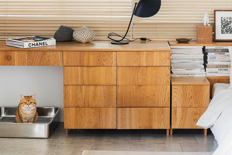 Does Your Cat Have Asthma? Why You Need to Ditch Clay for Pine