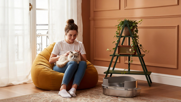 How to Transition Your Cat to a Stainless Steel Box: The "Zero-Stress" Method