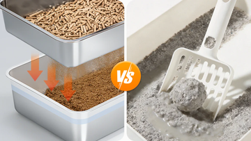 Why Is My Pine Litter Turning to Mush? (Humidity Control Guide)