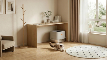 Furrbby litter box