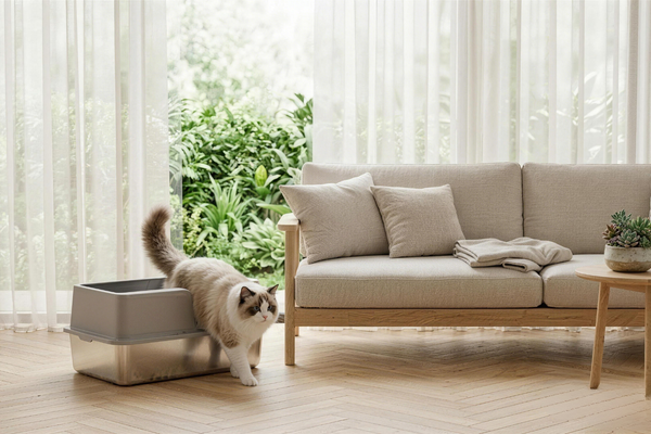 Types of Stainless Steel Litter Boxes: A Style Guide for [Modern Interiors]