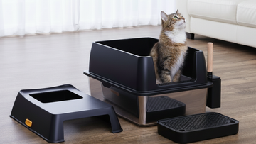How to Assemble Your Furrbby Litter Box in Under 5 Minutes