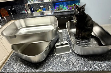 Customer photo: real cat with the 003 stainless steel litter box