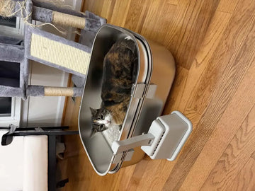 Customer photo: real cat with the 003 stainless steel litter box