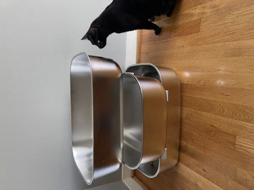Customer photo: real cat with the 003 stainless steel litter box