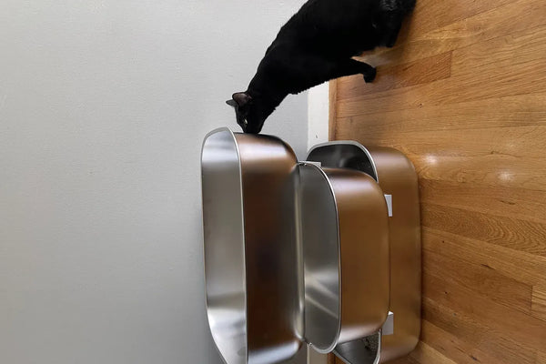 Care for Stainless Steel Litter Boxes Avoid Stains and Smudges