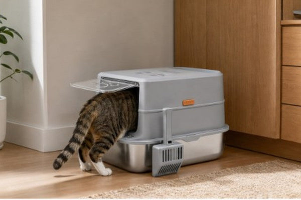Why Stainless Steel Litter Boxes Beat Plastic for Long-Term Cat Care