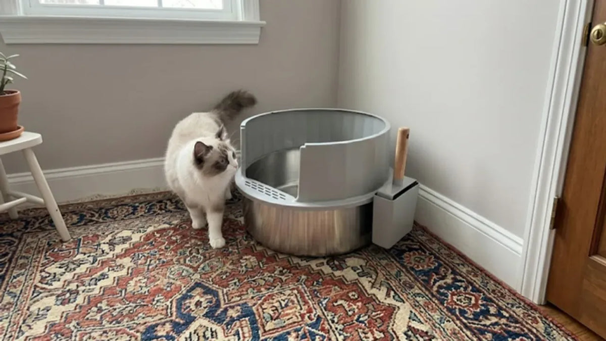 Cat next to a PULLNSCOOP stainless steel litter box in a real home