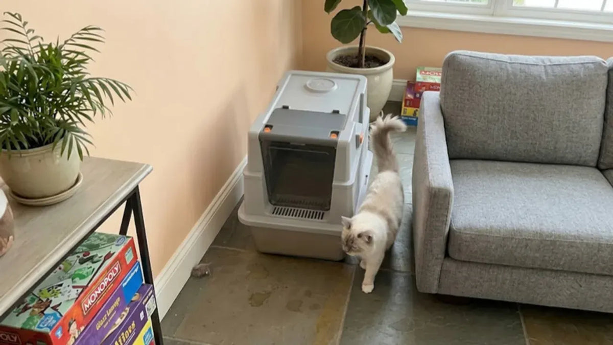 Cat next to a PULLNSCOOP stainless steel litter box in a real home
