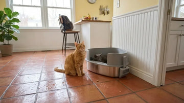 Cat next to a PULLNSCOOP stainless steel litter box in a real home