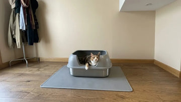 Cat next to a PULLNSCOOP stainless steel litter box in a real home