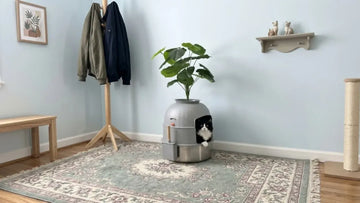 Cat next to a PULLNSCOOP stainless steel litter box in a real home