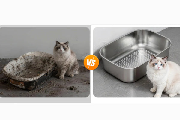 Why Stainless Steel Litter Boxes Beat Plastic for Long-Term Cat Care