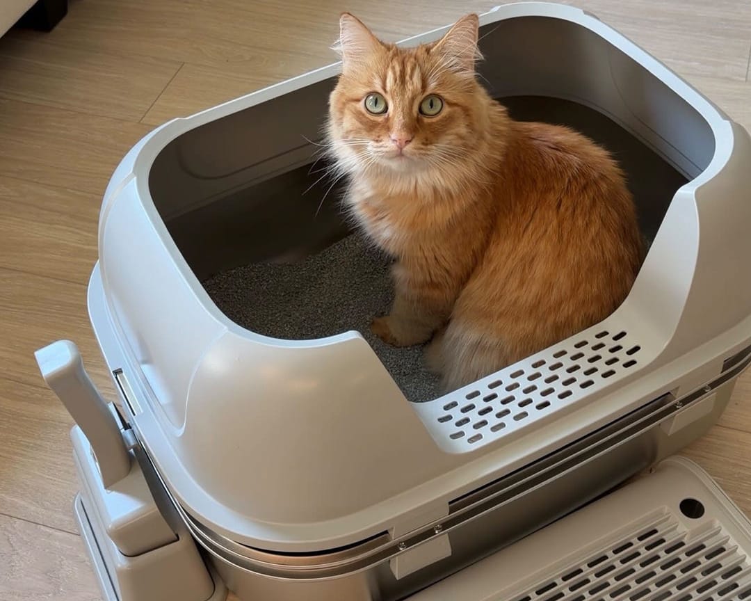 Furrbby Home Gallery