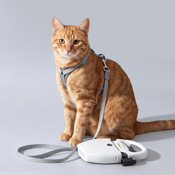 Furrbby All-in-one cat & dog leash and pooper scooper with a dog, ergonomic walking tool for pet owners