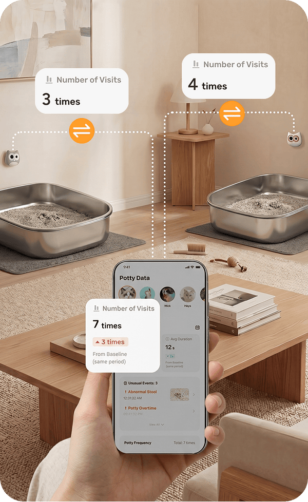 All Data in One App