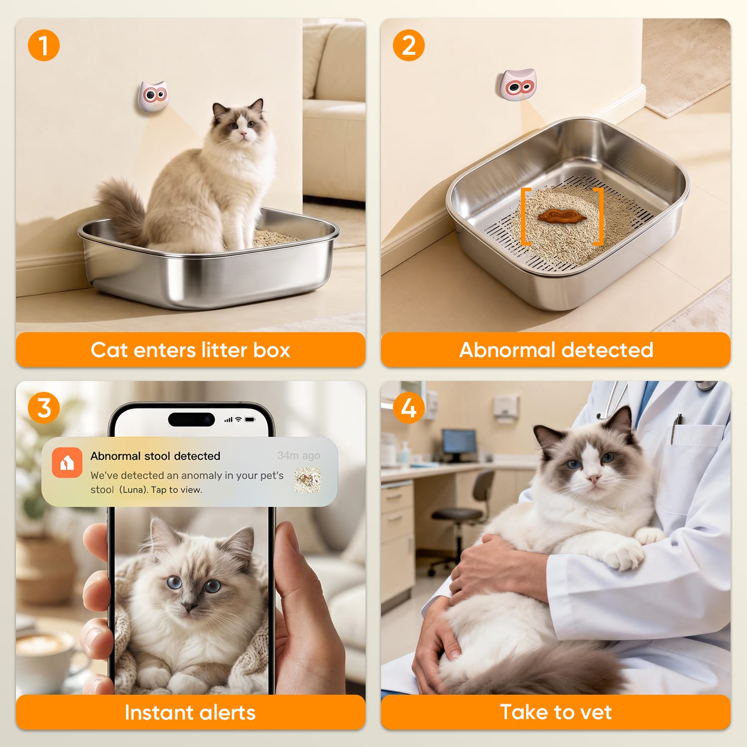 Furrbby Cat Health Alert Process with Litter Box Camera