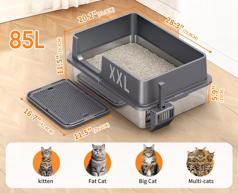 Extra-Large Space for Multi Cats