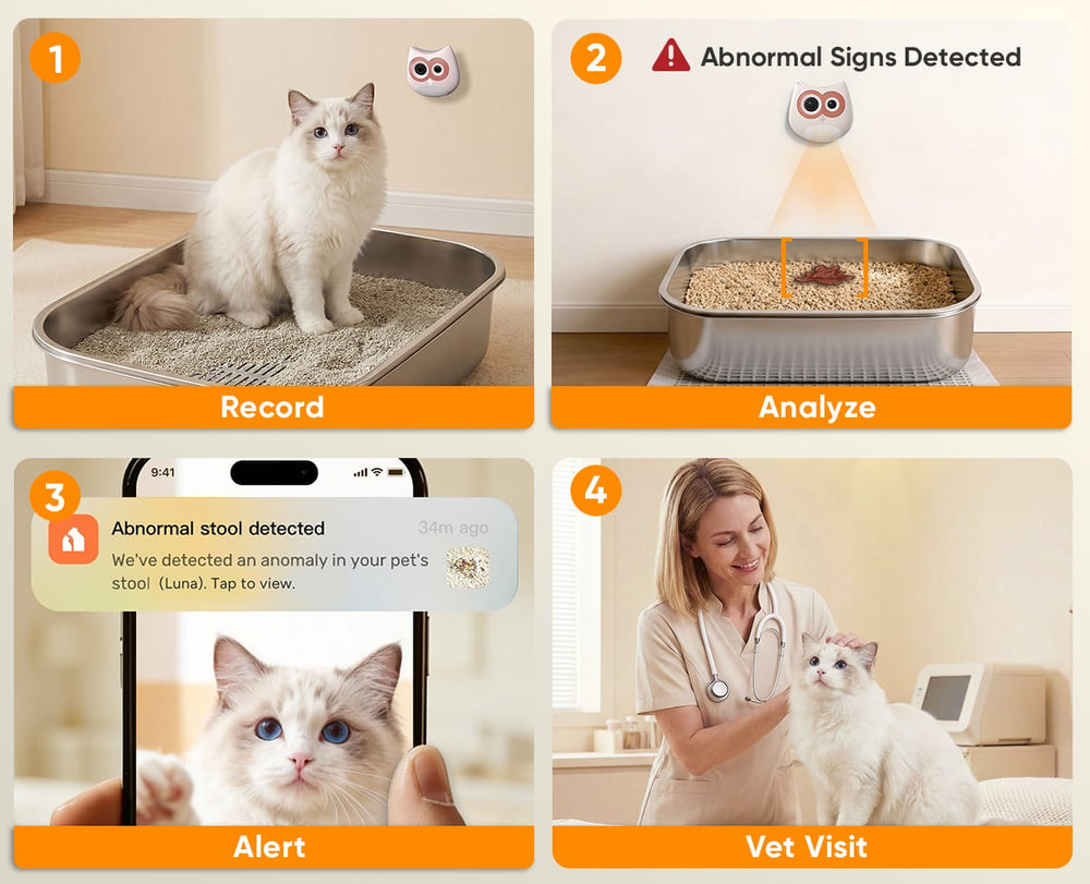 Instant Alerts for Abnormal Litter Box Behavior