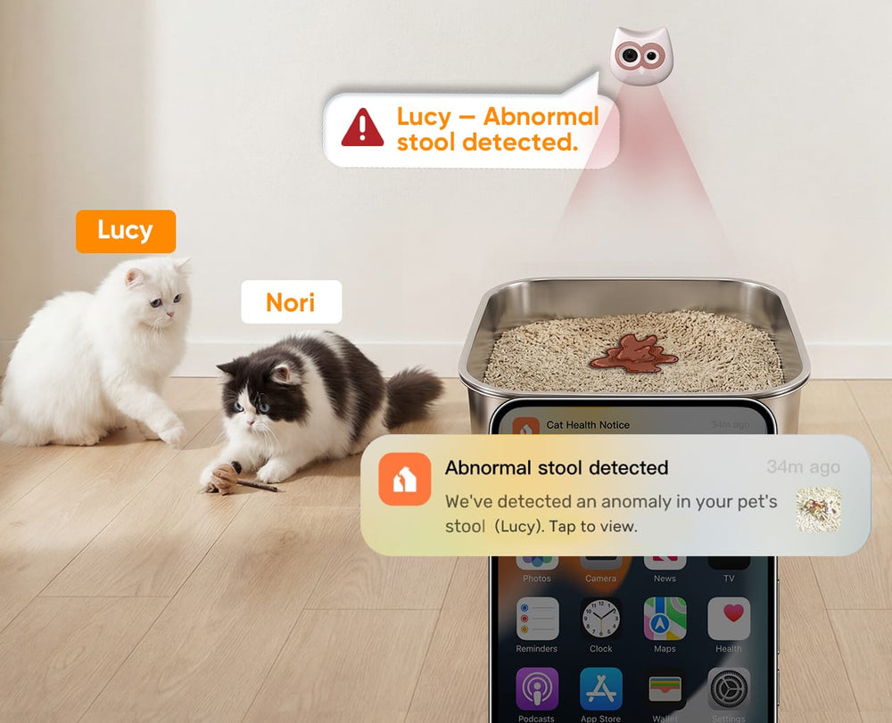 Precise AI Recognition for Multi-Cat Homes