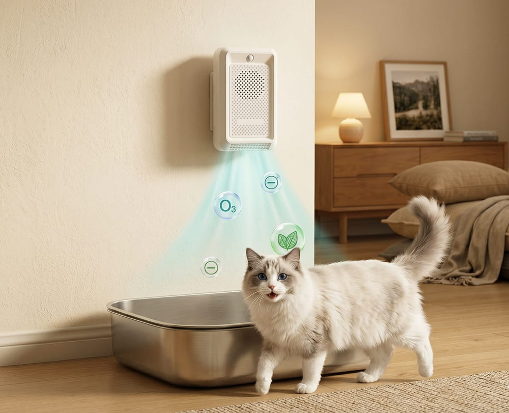 Motion-Sensing