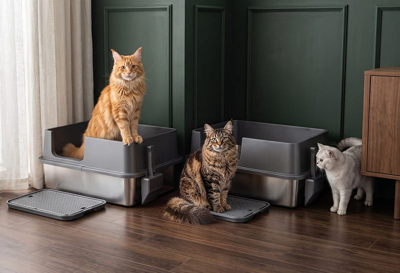 Multi-cat Friendly