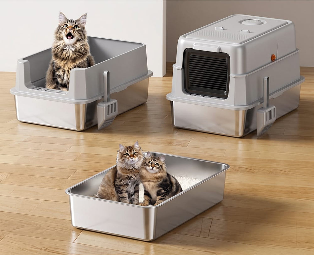 One Box, Three Styles