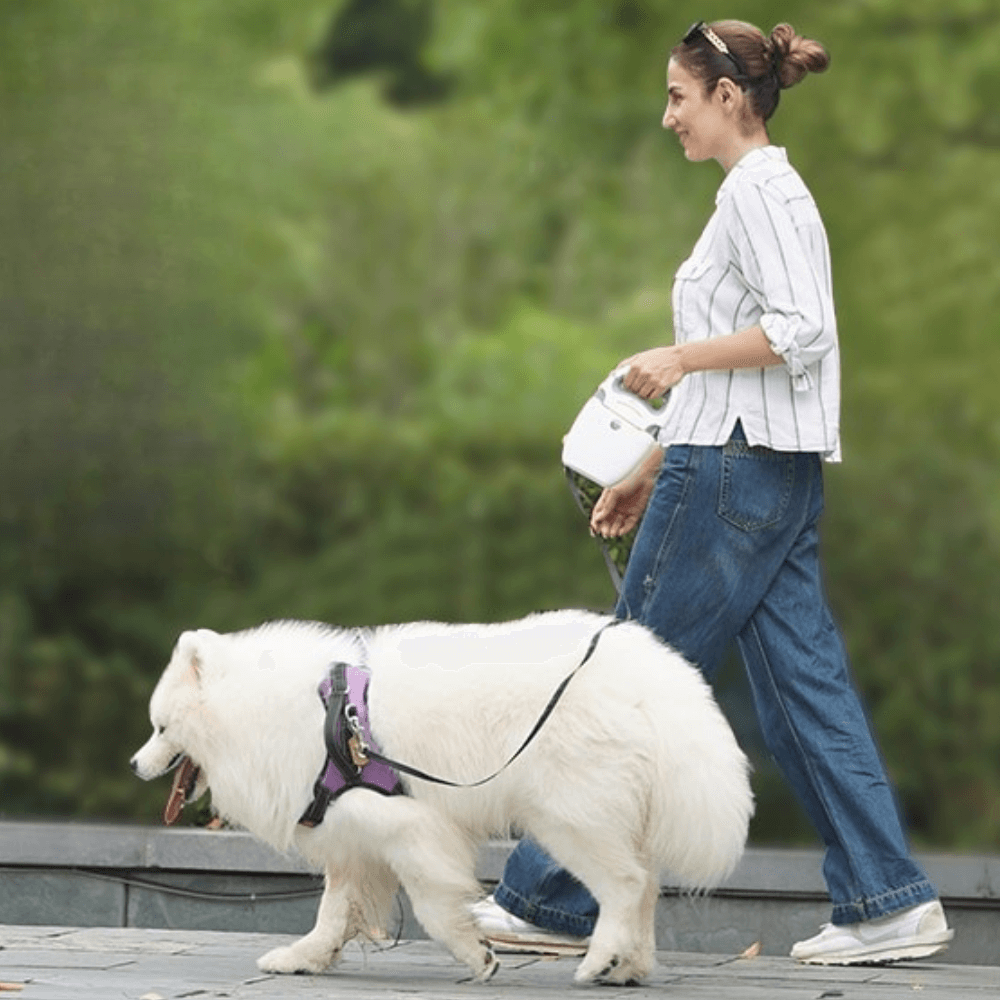 The All-in-One Dog Leash and Pooper Scooper with Built-in Bag Holder & Light