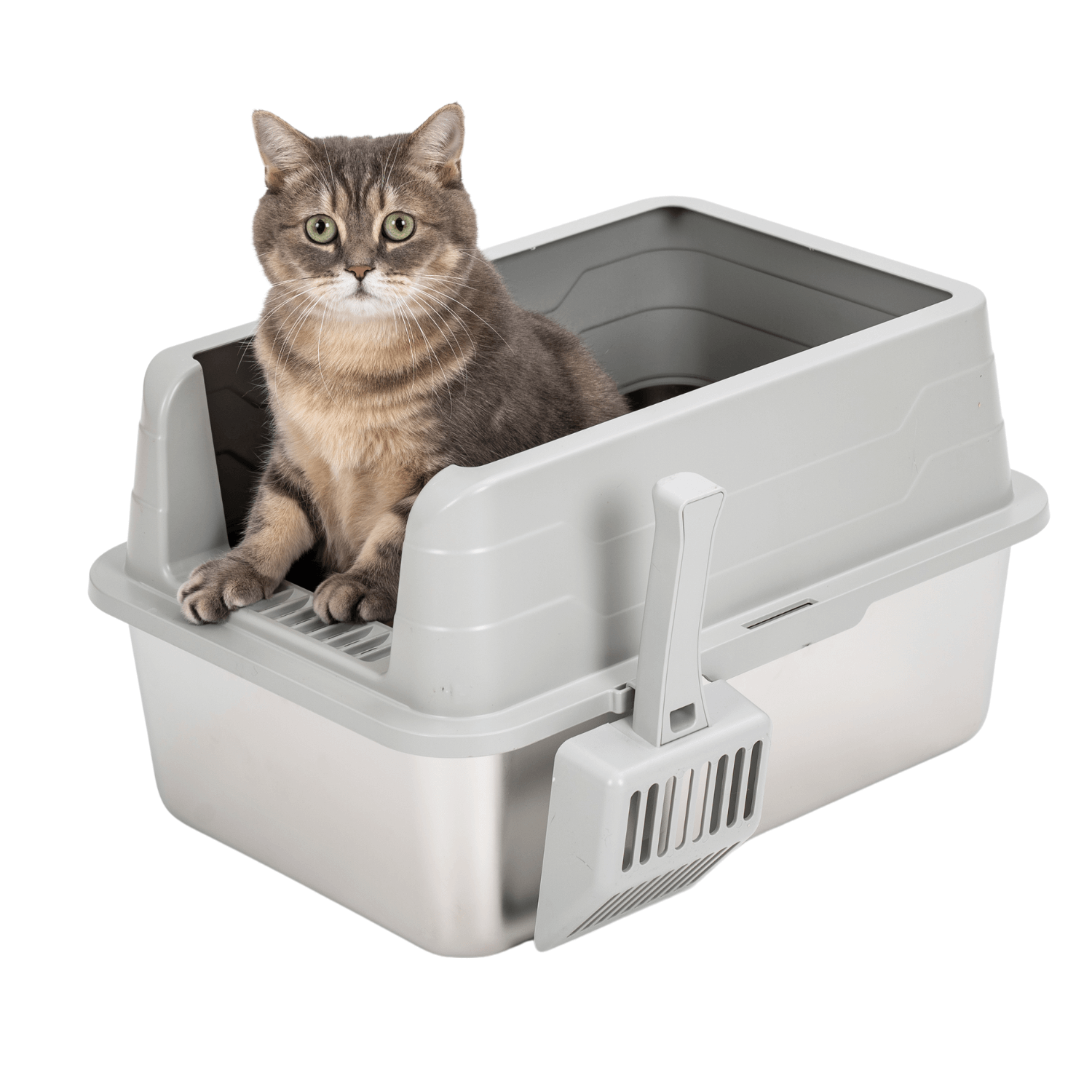 L Front Entry Stainless Steel Litter Box