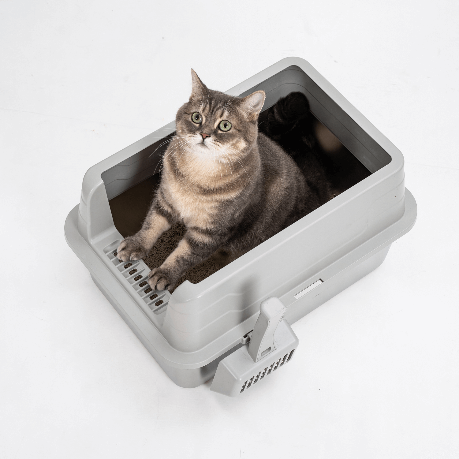 L Front Entry Stainless Steel Litter Box