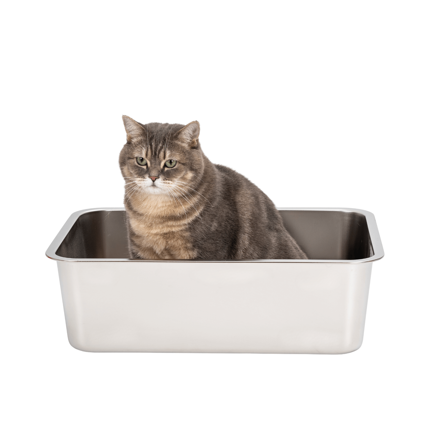 L Front Entry Stainless Steel Litter Box