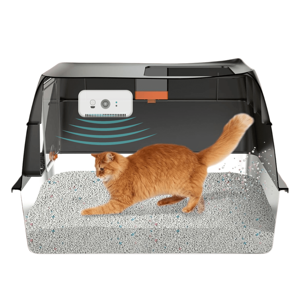 Automatic Odor Eliminator