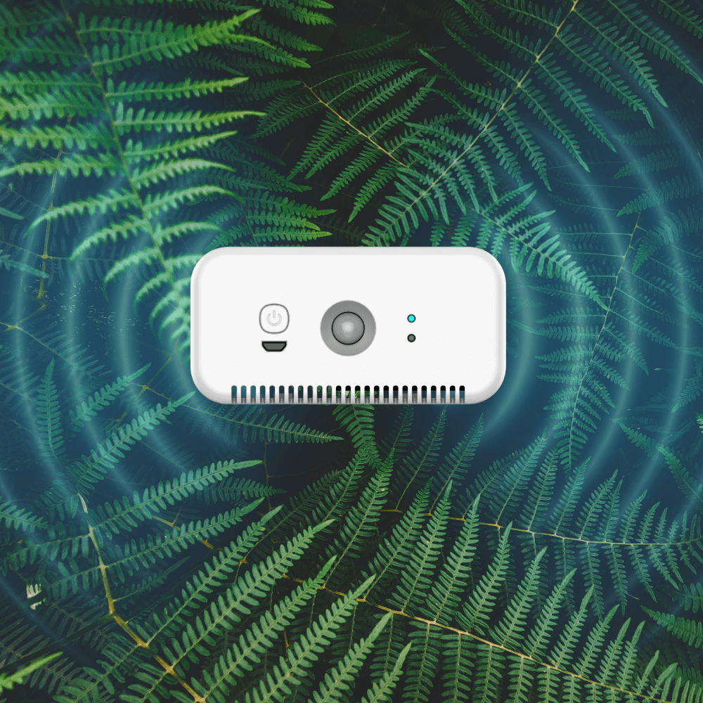 Automatic Odor Eliminator