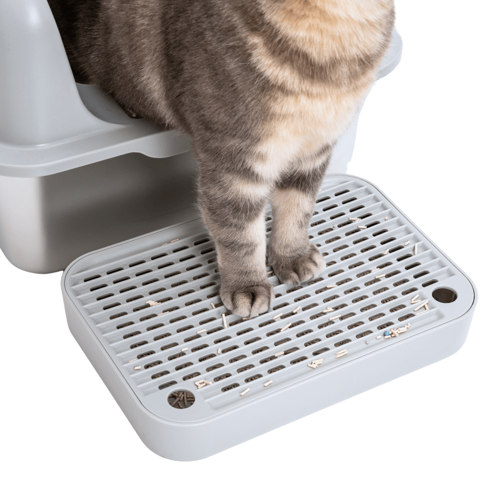 Litter Collecting Step