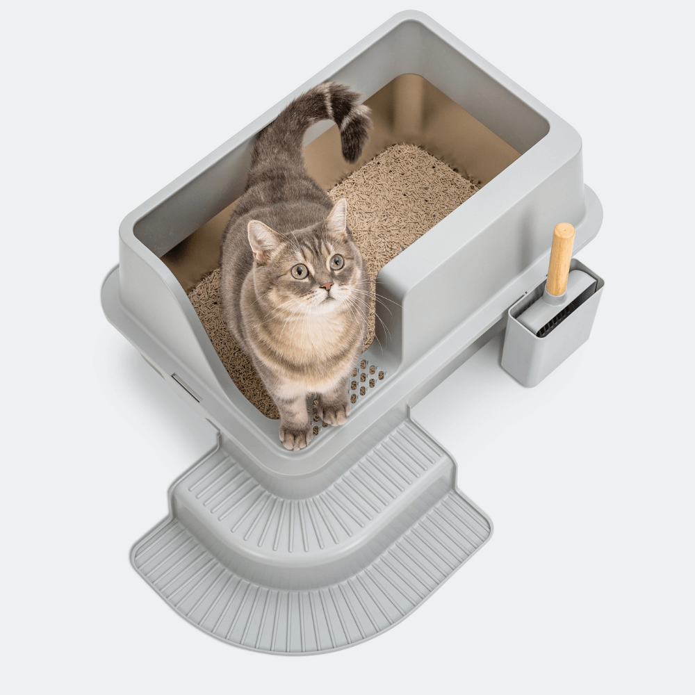 XL Corner Entry Stainless Steel Litter Box with Stair