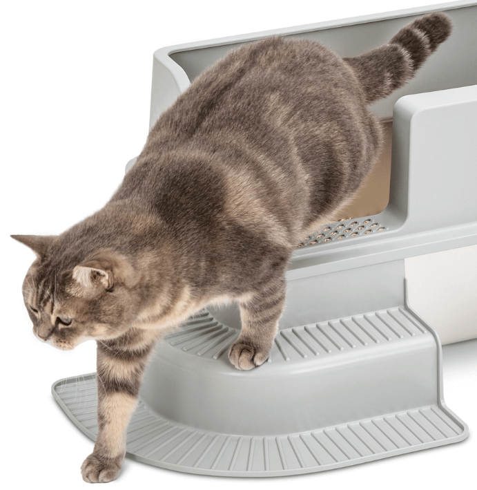 Toilet Best Way To Keep Kitty Litter From Tracking How To Litter