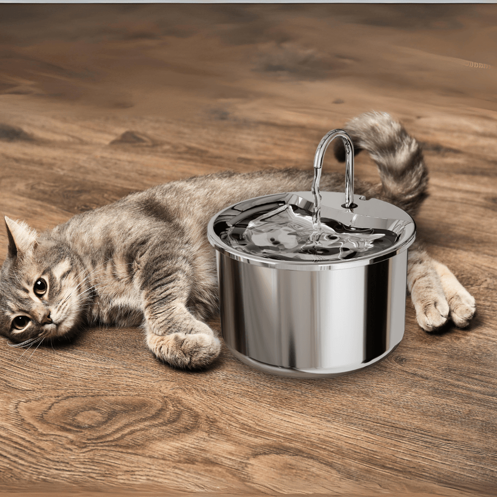 2L Stainless Steel Pet Water Fountain