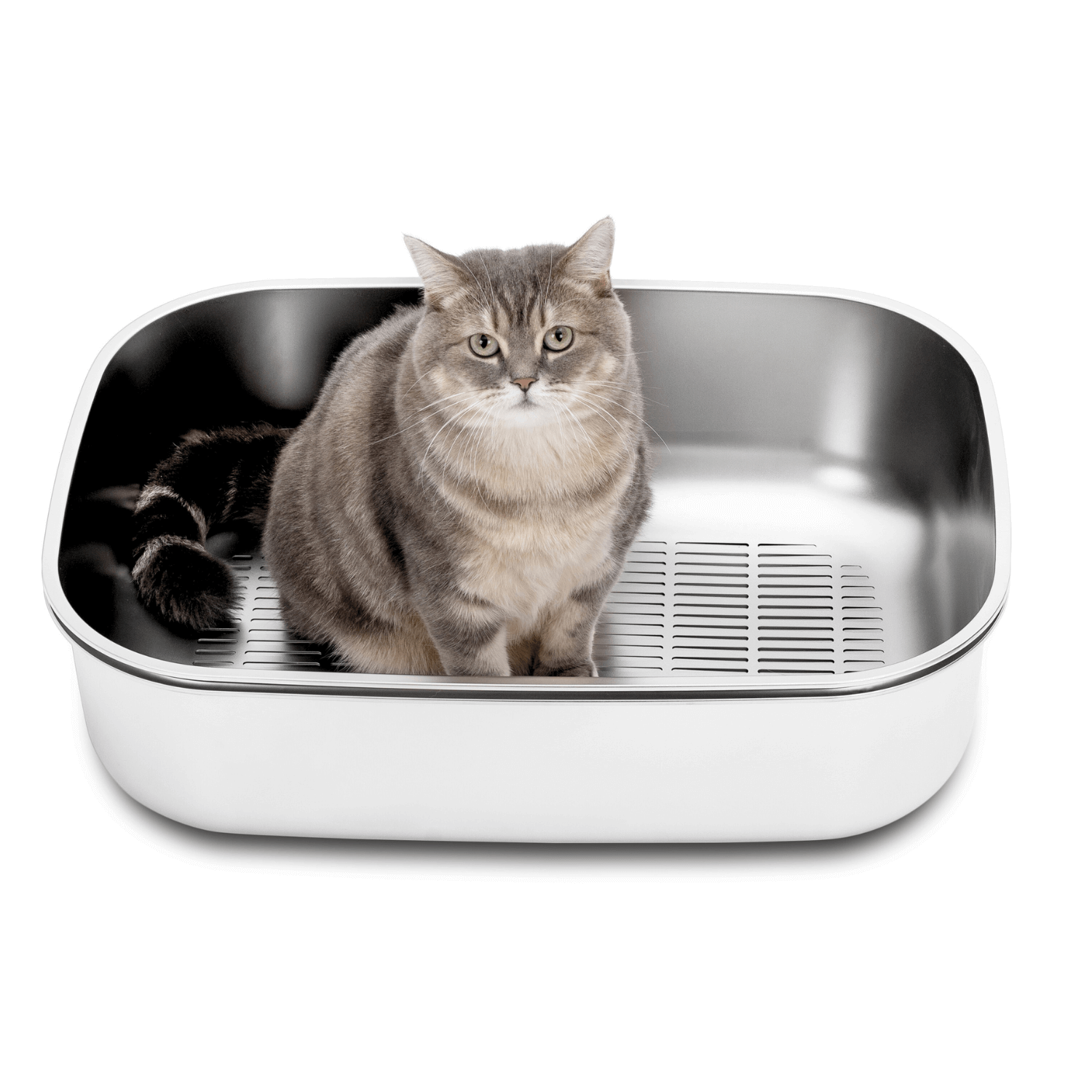 XL Stainless Steel Sifting Litter Box for Regular Clumping Litter